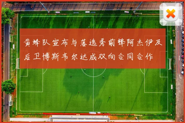 黄蜂队宣布与落选秀前锋阿杰伊及后卫博斯韦尔达成双向合同合作